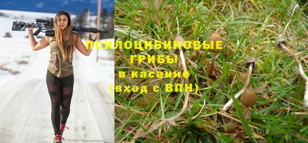 а пвп мука Гусев