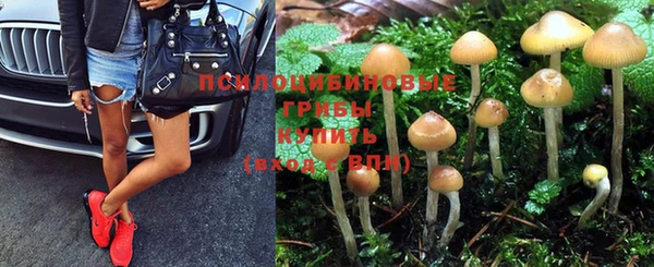 а пвп мука Гусев