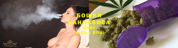 apvp Гусь-Хрустальный