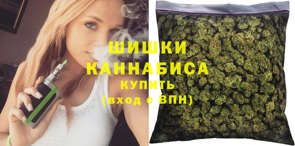 apvp Гусь-Хрустальный