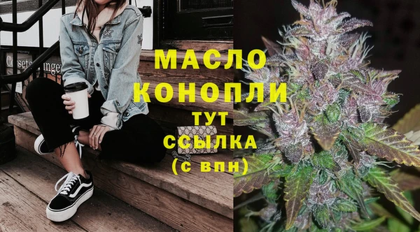 apvp Гусь-Хрустальный