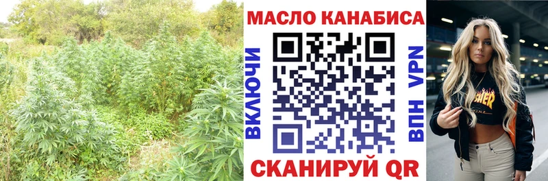 Купить где  Малмыж  Дистиллят ТГК концентрат 