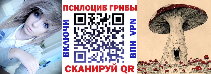 Купить где  Малмыж  Псилоцибиновые грибы прущие грибы 
